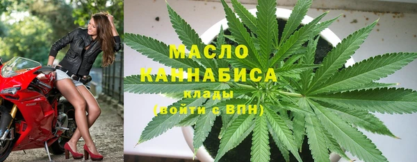 прущие грибы Лабытнанги
