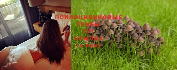 Альфа ПВП Кукмор