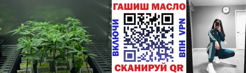 Купить закладки  Мариинский Посад  ТГК концентрат 